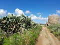 sardaigne 031